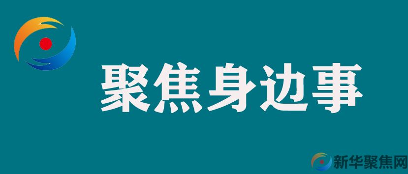 严肃查处！最高罚款500万元