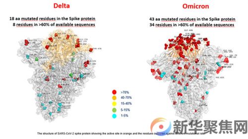 全球首张奥密克戎毒株图公布：新变异株传染性或增强500%(图1)