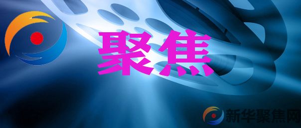 攻坚拔寨破万难 乘风破浪开新局龙港镇35个村（居）圆满完成“两委”换届工作