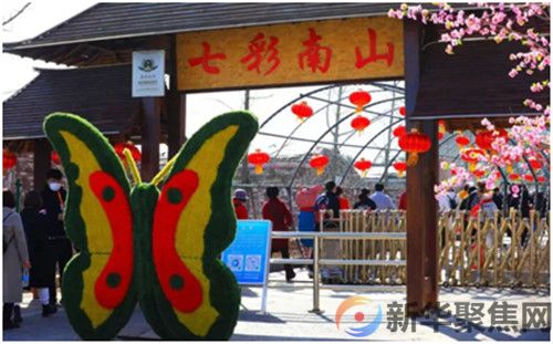 旅顺口区举办特色产品年货展销大集，小南村七彩南山太空植物王国景区免费开放